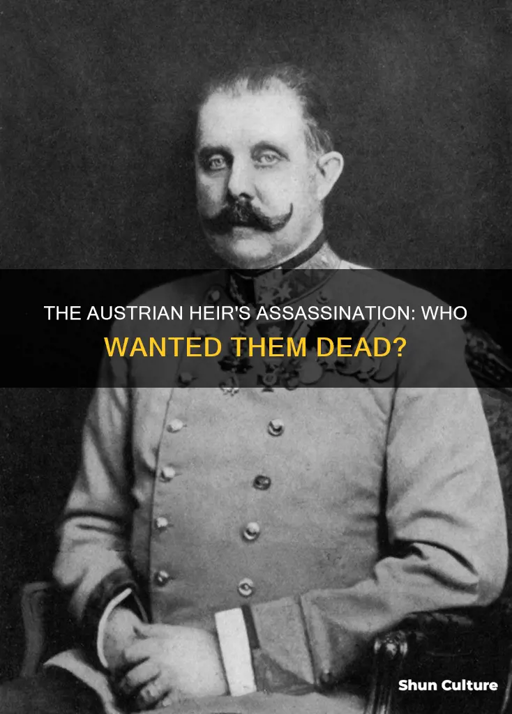 when was the assassination austrian heir