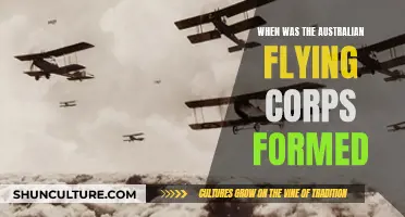 Formation of the Australian Flying Corps: A Historical Overview
