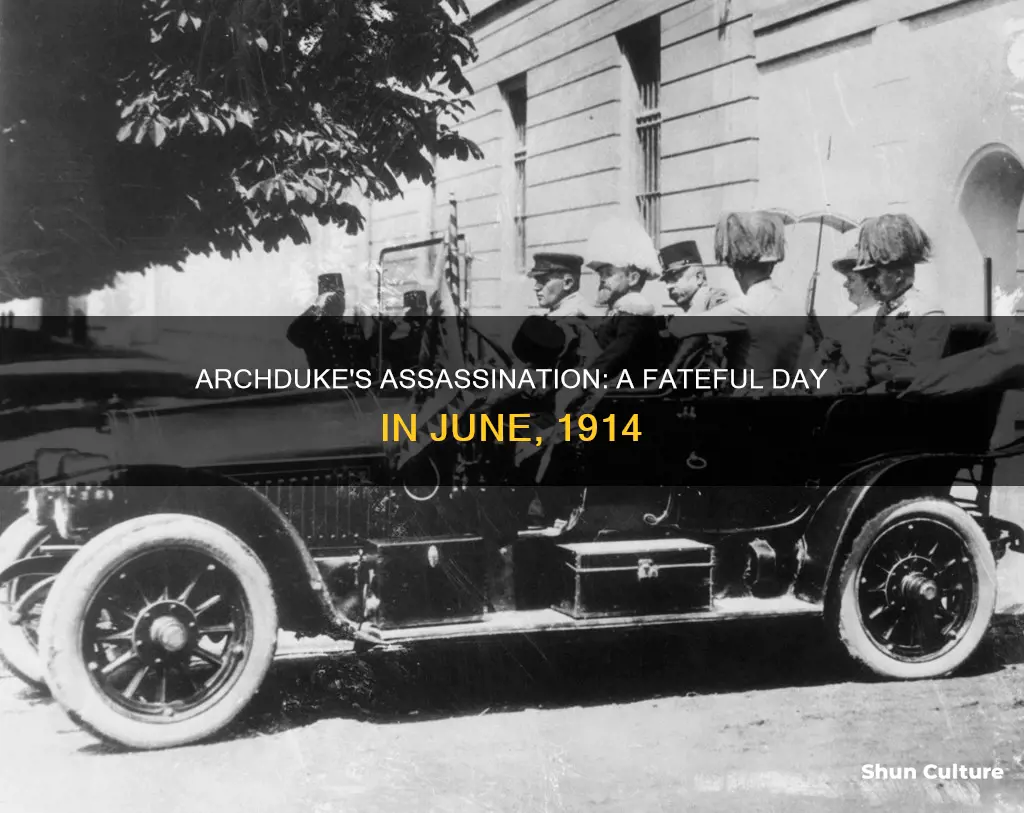 when was the austrian archduke assassinated