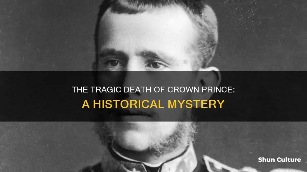 when was the austrian crown prince killed