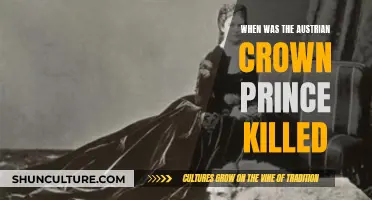 The Austrian Crown Prince's Tragic End: A Historical Mystery