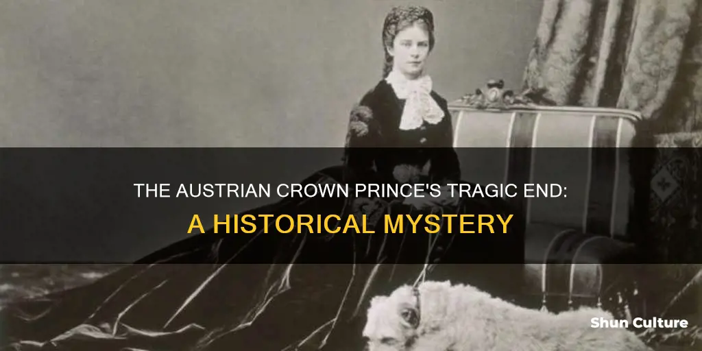 when was the austrian crown prince killed