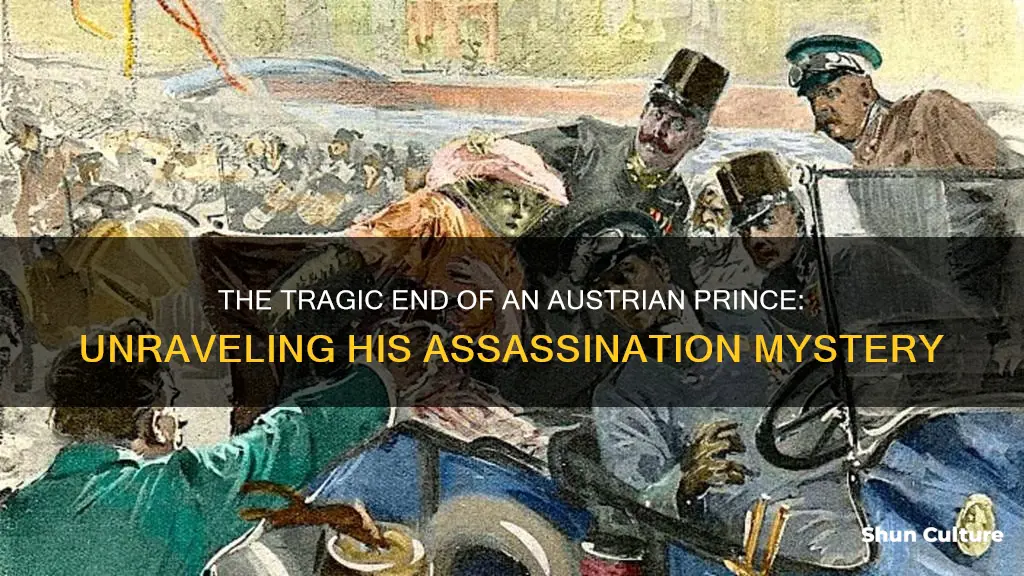 when was the austrian prince assassinated