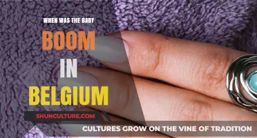 Echoes of a Bygone Era: Belgium's Baby Boom Unveiled