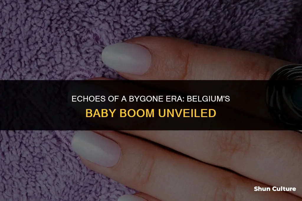 when was the baby boom in belgium