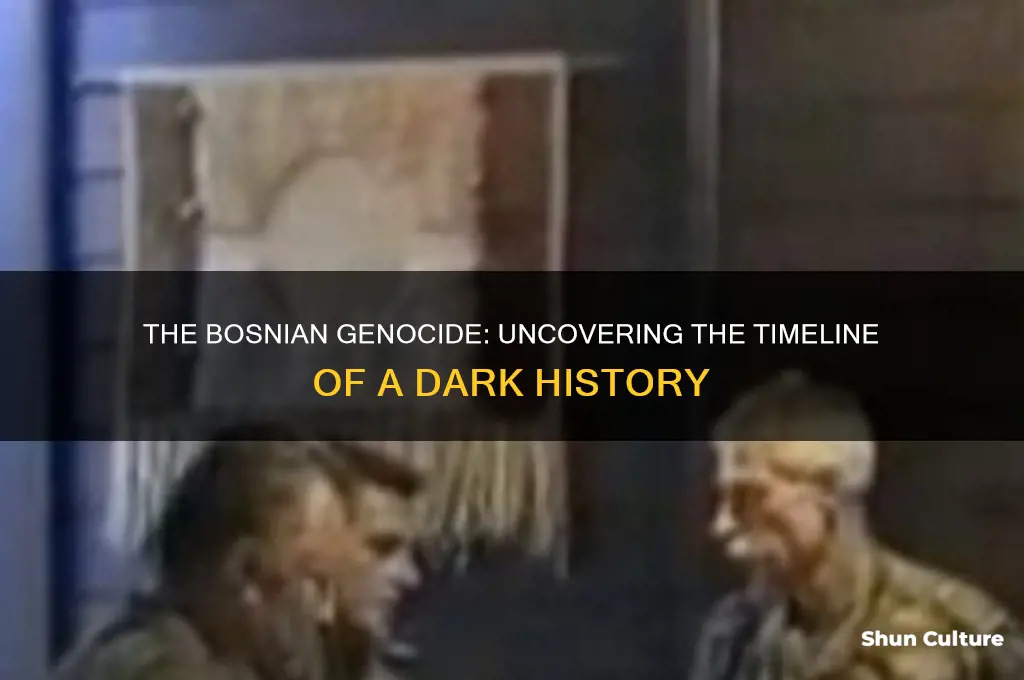 when was the bosnian genocde
