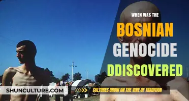 Unveiling the Bosnian Genocide: When the World Discovered the Atrocities
