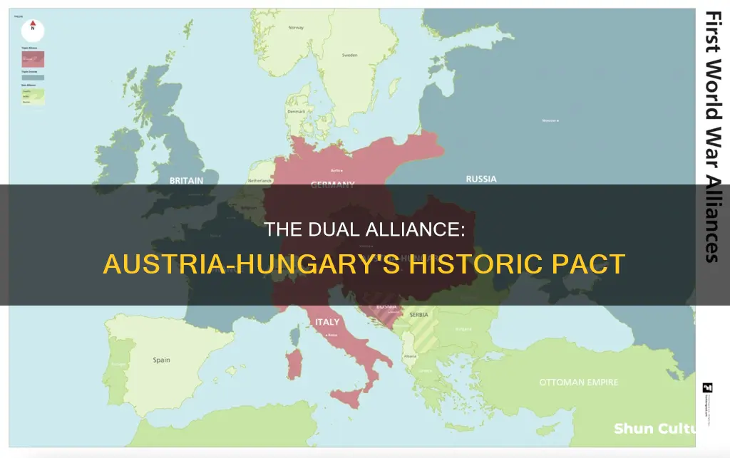when was the dual alliance formed between austria and hungary