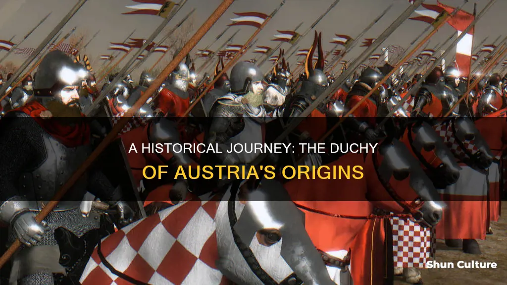 when was the duchy of austria founded