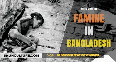 Bangladesh's Devastating Famine: A Historical Overview of the 1974 Crisis