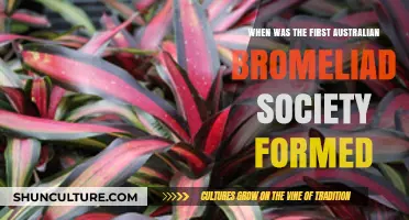 The Birth of Australia's First Bromeliad Society: A Historical Overview