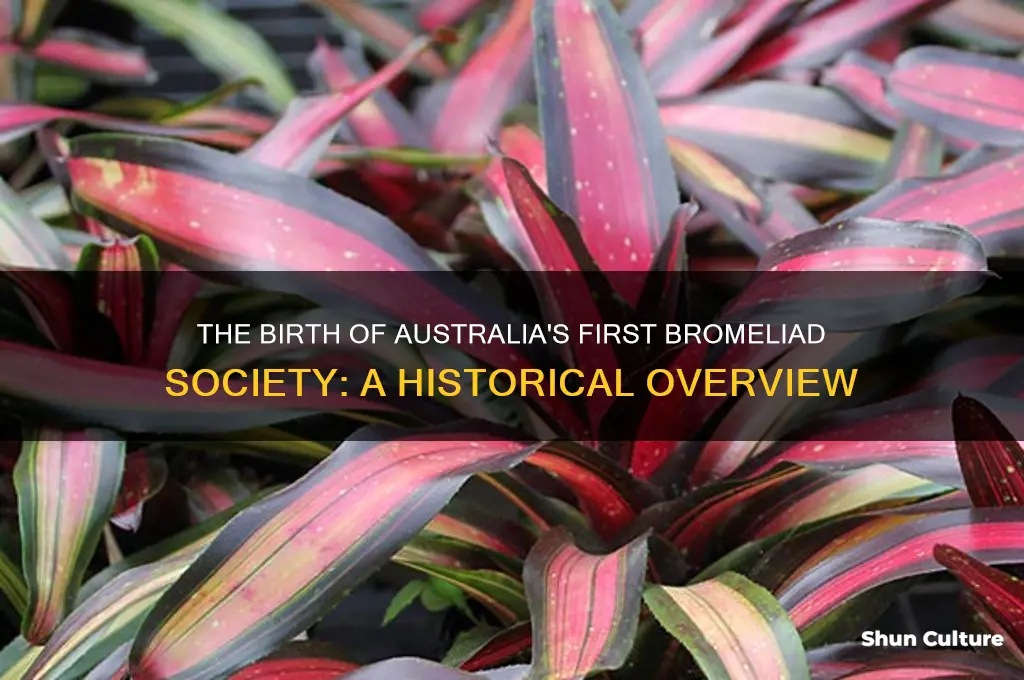 when was the first australian bromeliad society formed