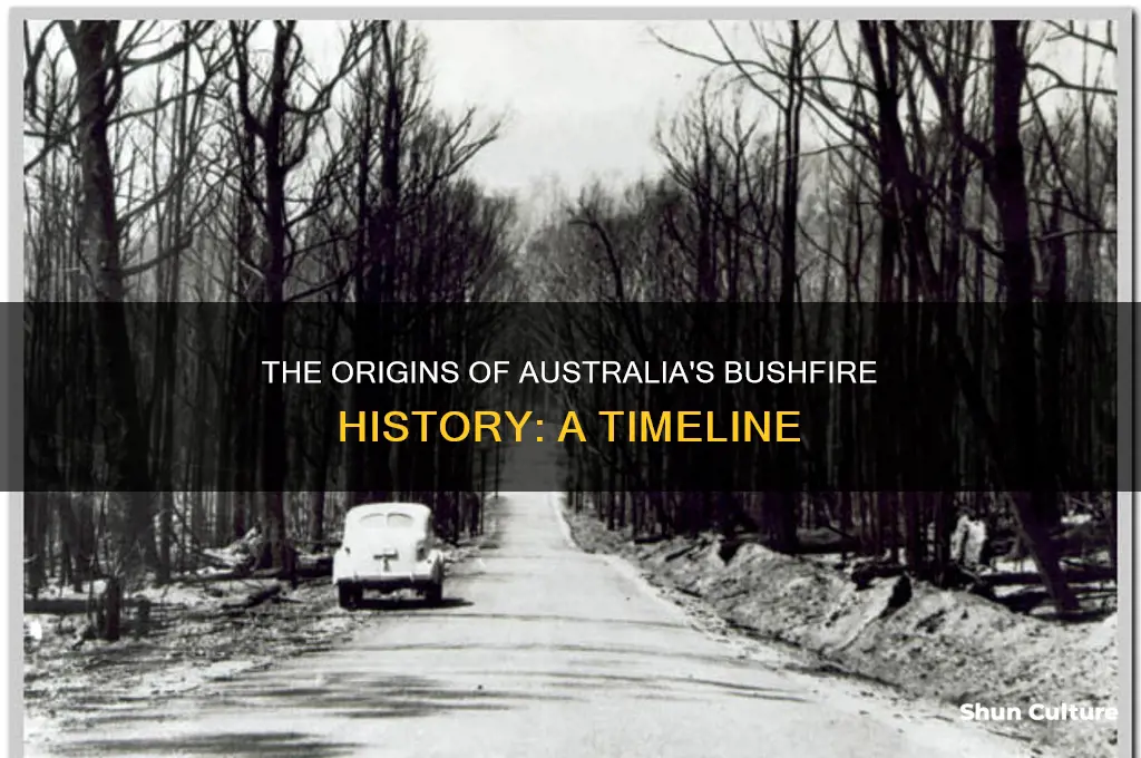 when was the first australian bushfire