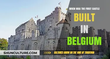 Exploring Belgium's Rich History: The Origins of Its First Castle