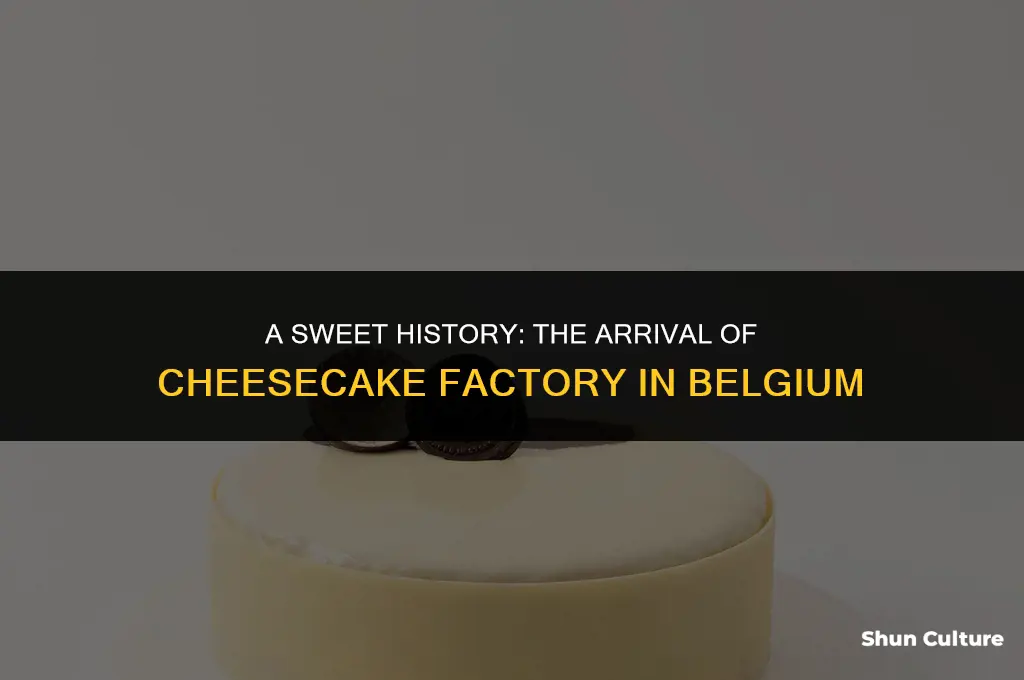 when was the first cheesecake factory opened in belgium