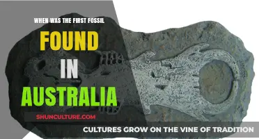 Unveiling Australia's Ancient Past: The Discovery of Its First Fossil