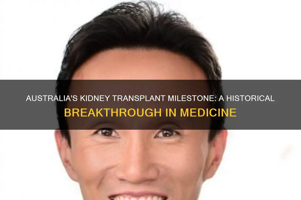 when was the first kidney transplant in australia