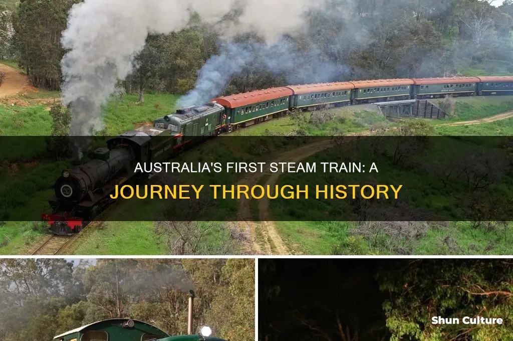 when was the first steam train built in australia