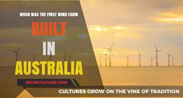 Australia's Wind Energy Pioneer: The First Wind Farm's Historic Construction