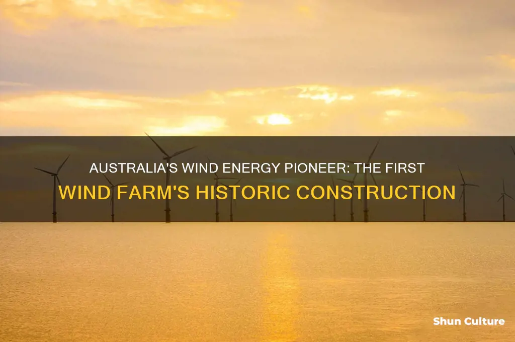when was the first wind farm built in australia