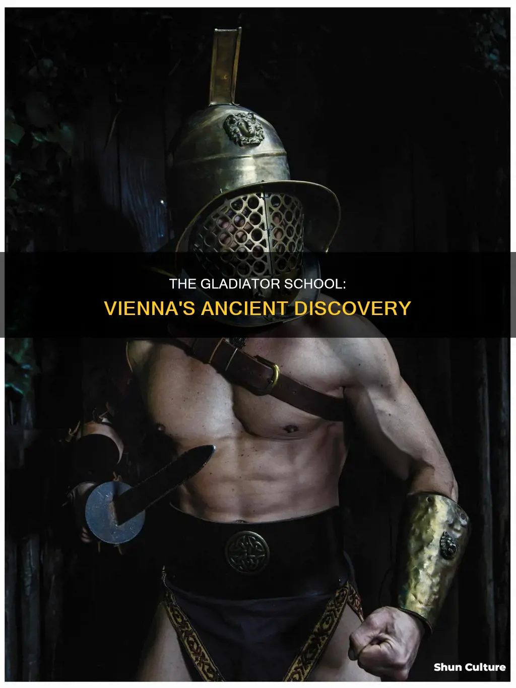 when was the gladiator school in vienna austria discovered