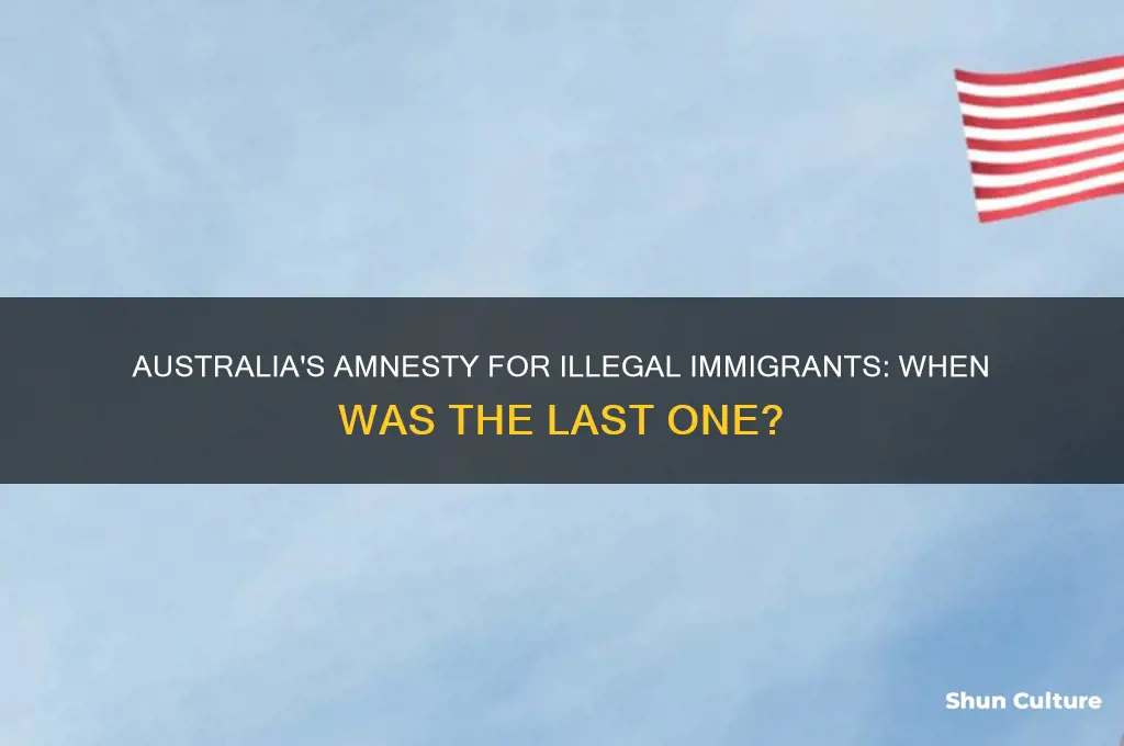 when was the last amnesty for illegal immigrants in australia