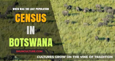 Botswana's Latest Population Census: Date, Insights, and Significance
