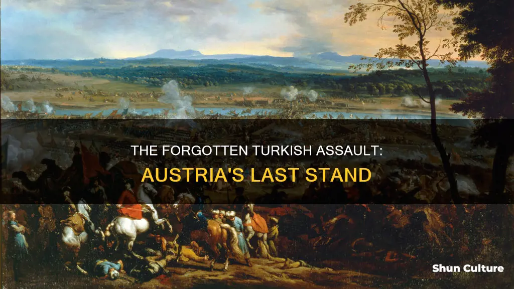 when was the last turkish invasion of austria