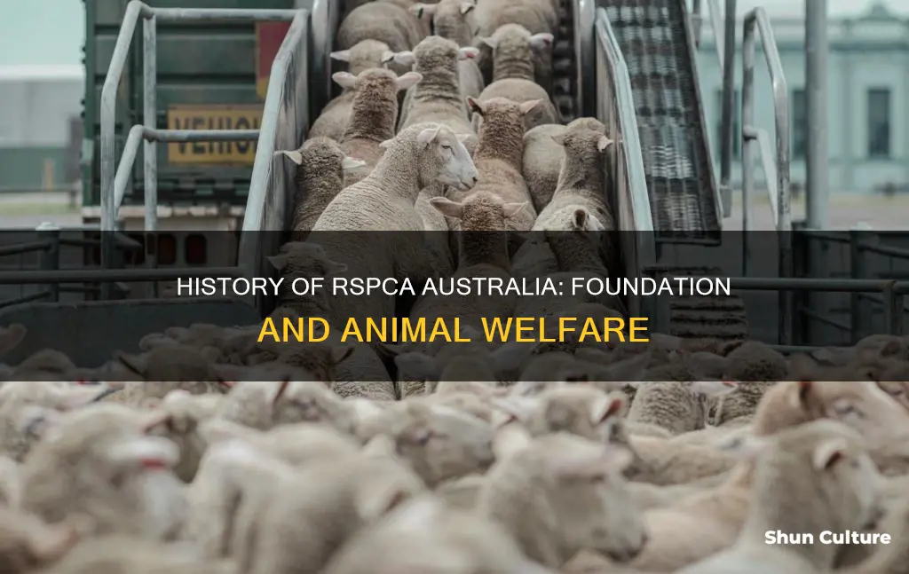 when was the rspca founded in australia