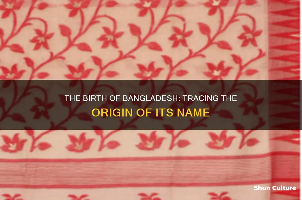 when was the term bangladesh coined