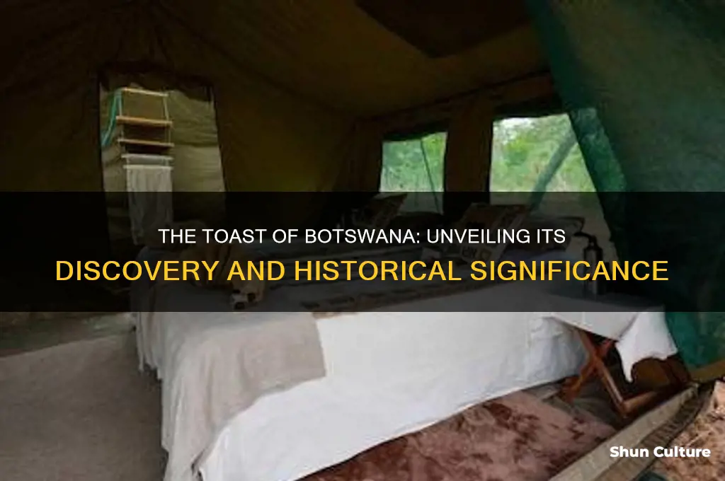 when was the toast of botswana discovered