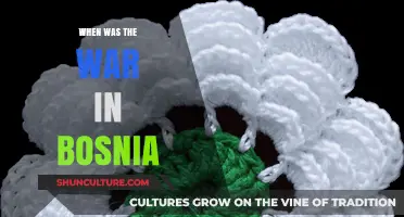 The Bosnian War: Dates, Causes, and Historical Impact Explained