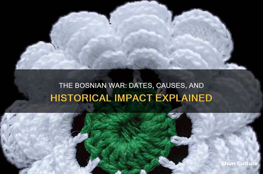 when was the war in bosnia