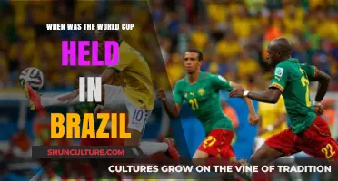 Brazil's World Cup Legacy: A Look Back at the 2014 Tournament