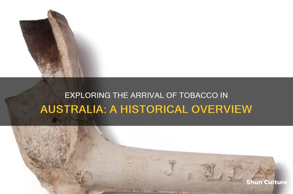 when was tobacco first introduced to australia