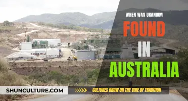 Uranium Discovery in Australia: A Historical Perspective