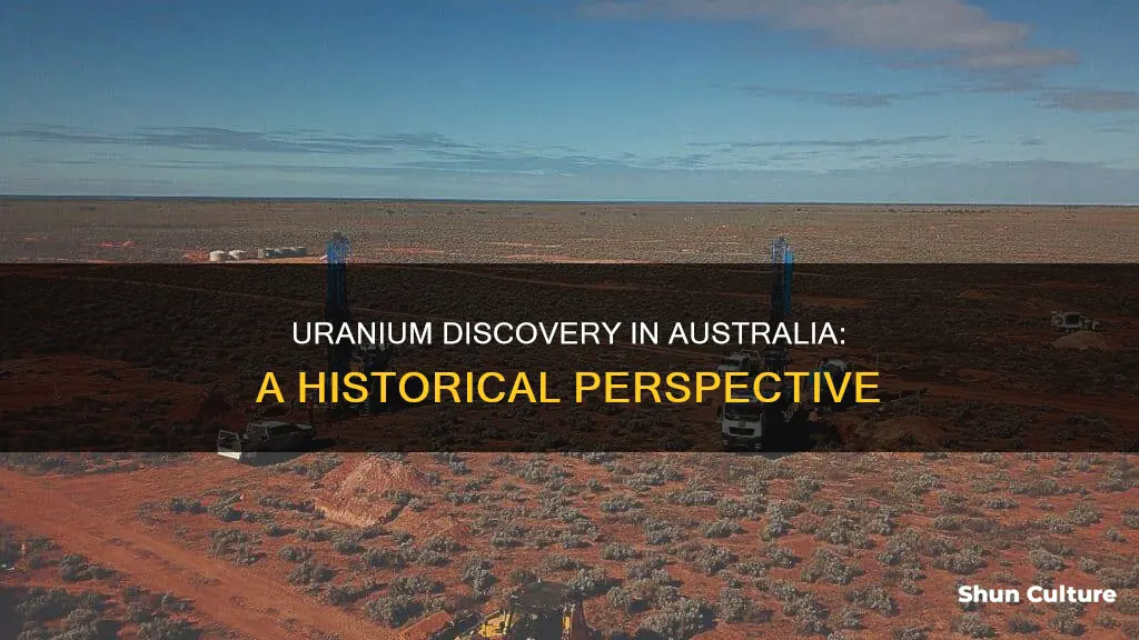 when was uranium found in australia