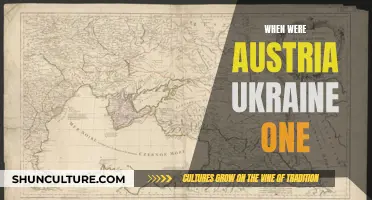 A Historical Union: Austria and Ukraine's Shared Past