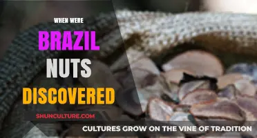 Uncovering the Origins: When Were Brazil Nuts First Discovered?