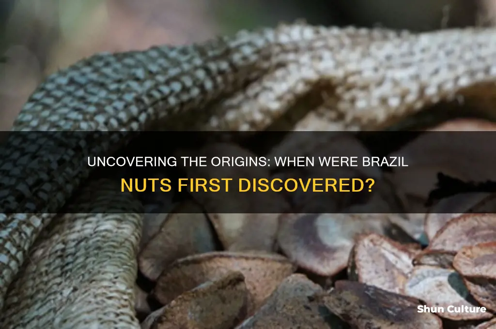 when were brazil nuts discovered