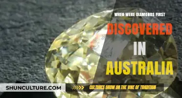 Australia's Sparkling Secret: The First Discovery of Diamonds