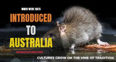 How Rats Invaded Australia and When