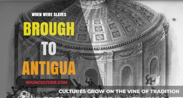 The Arrival of Enslaved Africans in Antigua: A Historical Timeline