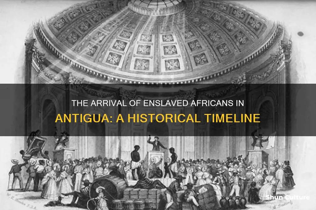 when were slaves brough to antigua