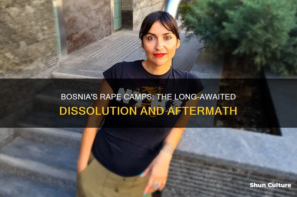 when were the rape camps disolved in bosnia
