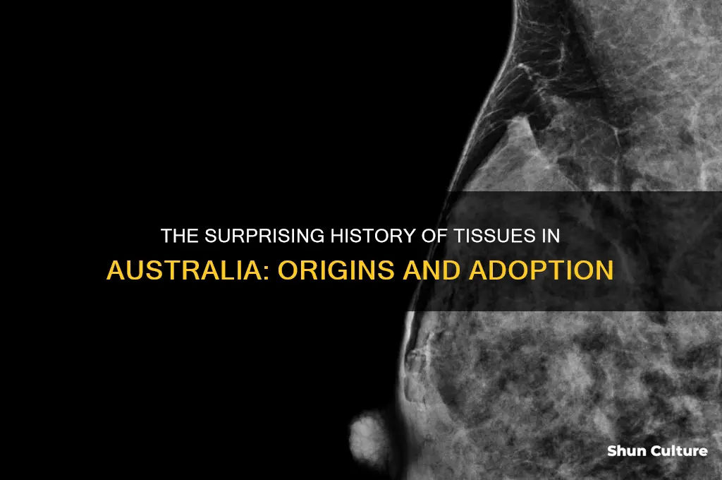 when were tissues first used in australia