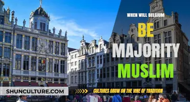 Belgium's Demographic Shift: A Look into the Future of Islam in the Country