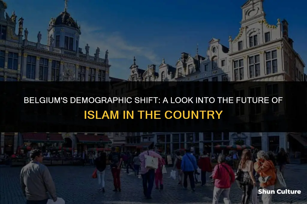when will belgium be majority muslim