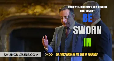 Belgium Awaits: The Countdown to a New Federal Government