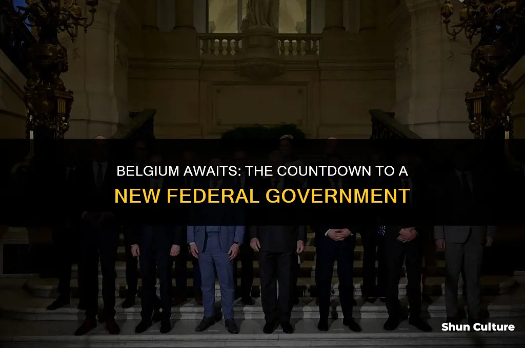 when will belgium